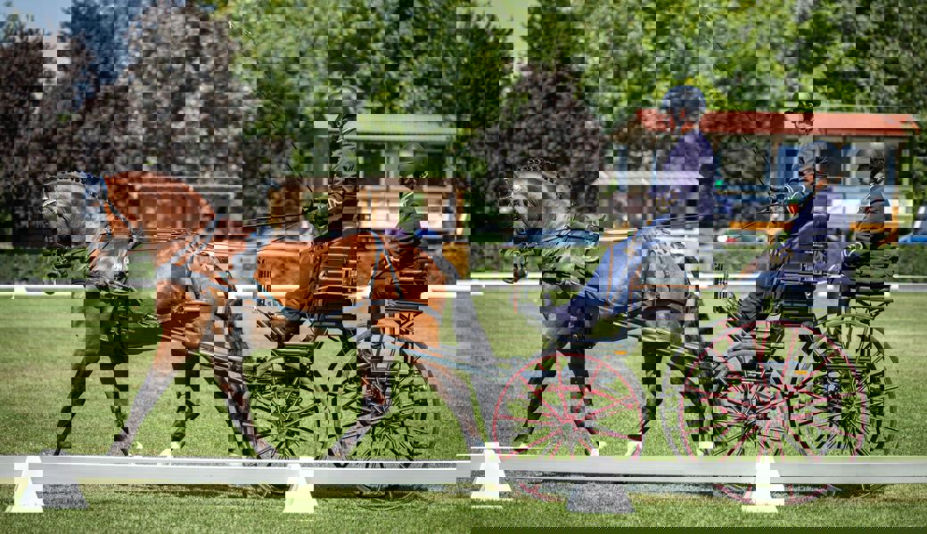 Leo Risch gewinnt Bronze an WM der jungen Pferde