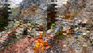 Die Regierung hebt das bedingte Feuerverbot im Freien ab sofort wieder auf