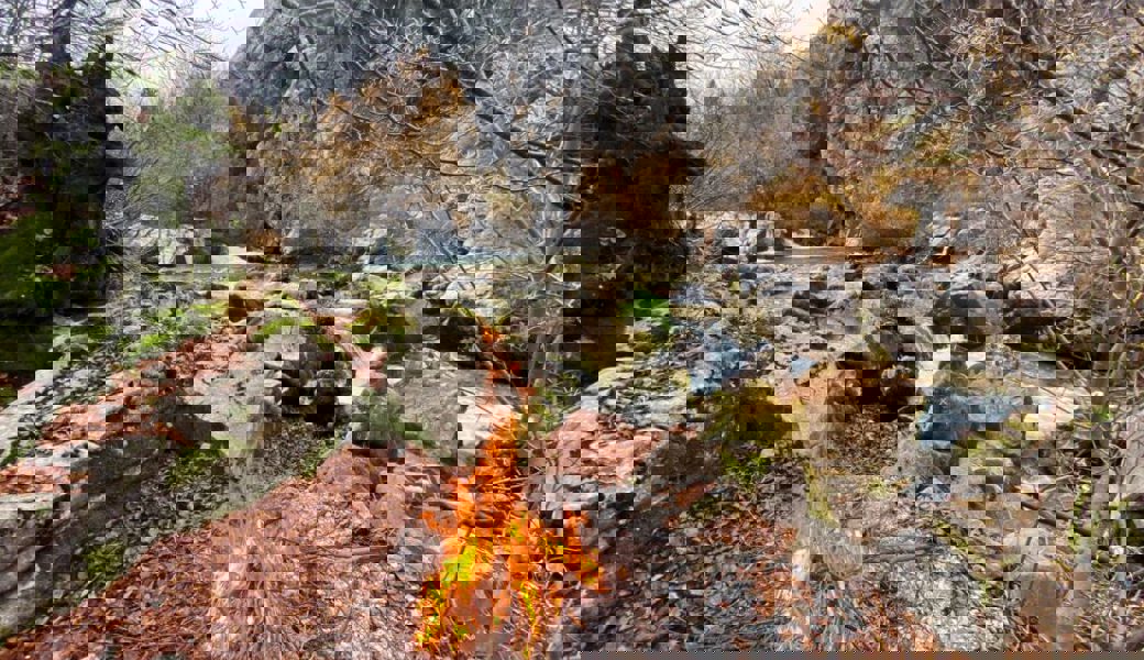  Aufgrund der gefallenen Niederschläge kann das bedingte Feuerverbot im Freien ab sofort aufgehoben werden. Symbolbild: Florin Hinterberger