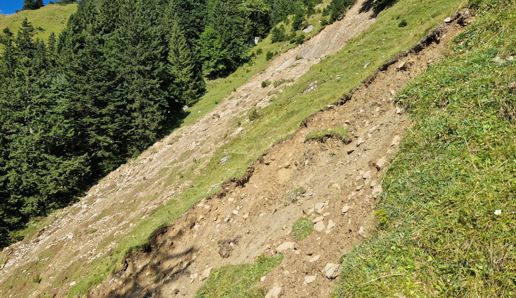 Ein Erdrutsch auf der Alp Eidenen riss zwei Kühe.