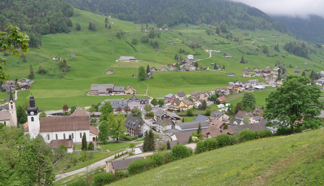 Thomas Diezig lebt und arbeitet vorwiegend im Dorf Alt St. Johann.