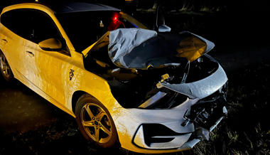 Auto kollidiert mit Hirsch – Tier verendet