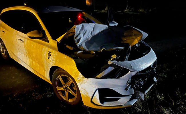 Auto kollidiert mit Hirsch – Tier verendet