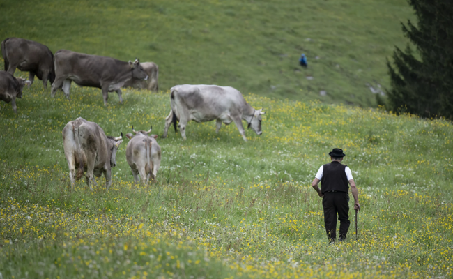 Sanktionen gegen einen Toggenburger: Der Landwirt soll Geschäfte mit Russland gemacht haben – dabei ist er unschuldig