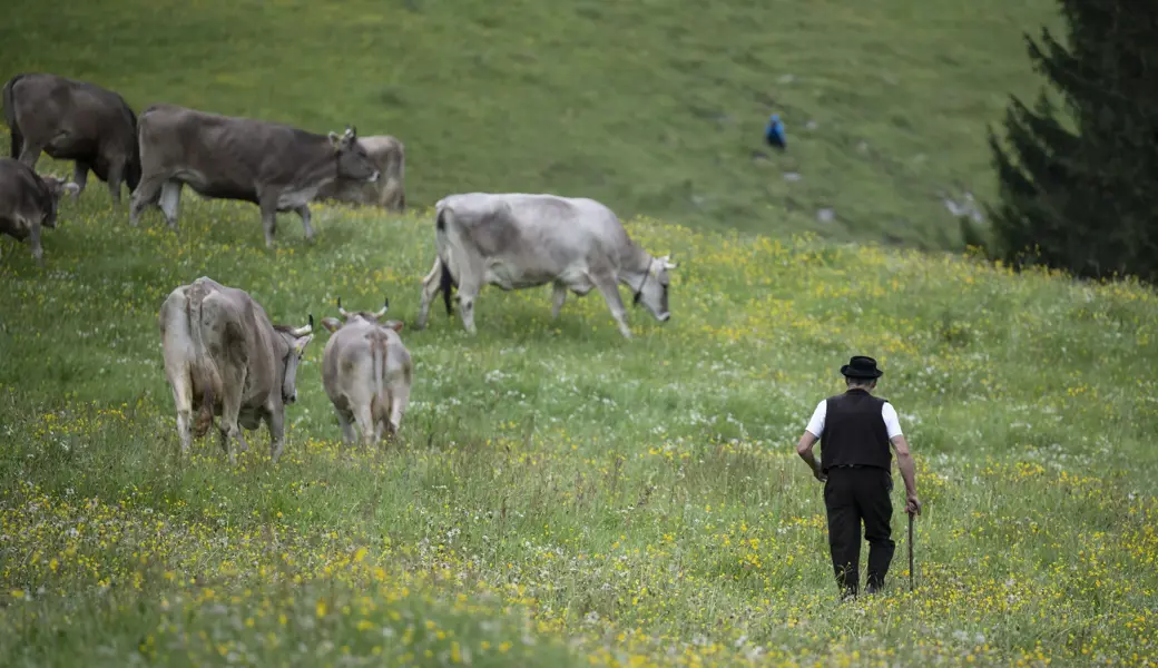 Dieser Landwirt heisst nicht Bruno Koller. Doch würde er so heissen, könnte er Probleme bekommen.