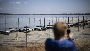 Anhaltende Trockenheit: Die Natur braucht Regen – und Bewässerung