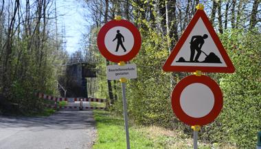 Sondertransport in der Nacht: Eisenbahnbrücke wird angeliefert