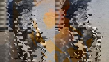 Pelziger Passagier: SBB-Kater Ginger steigt in jeden Zug