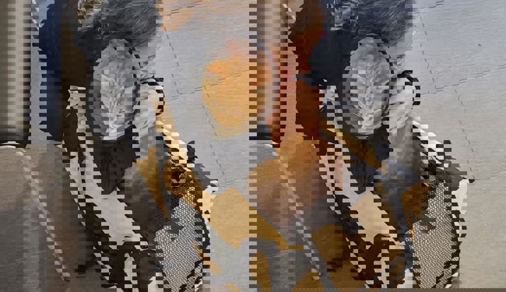 Statt Mäusen jagt Ginger offene Türen und landet damit regelmässig in den Zügen der Ostschweiz.