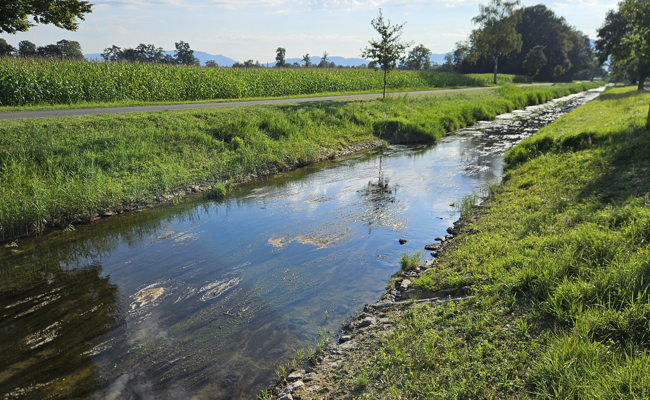 Rietaach wird zum Leben erweckt