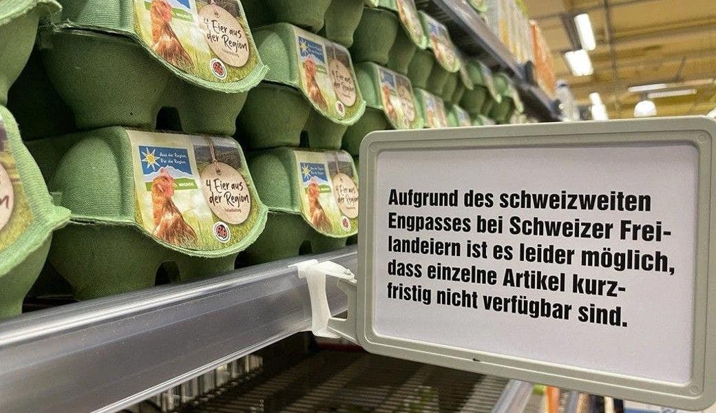 Am Samstagvormittag war in der Migros in Frauenfeld nur noch eine Sorte Eier verfügbar. 
