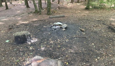 In Niederuzwil geriet ein Feuer im Wald ausser Kontrolle.