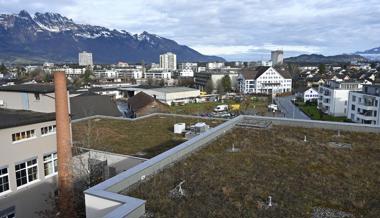 Kleinquartier für Jung und Alt: So soll sich der Neuhof entwickeln