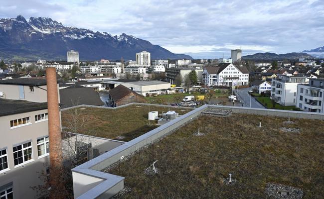 Kleinquartier für Jung und Alt: So soll sich der Neuhof entwickeln