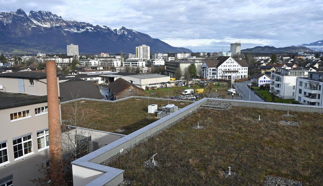 Kleinquartier für Jung und Alt: So soll sich der Neuhof entwickeln