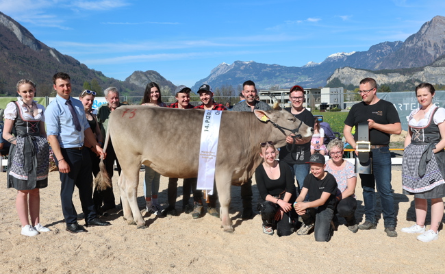 Grosse Leidenschaft fürs braune Vieh