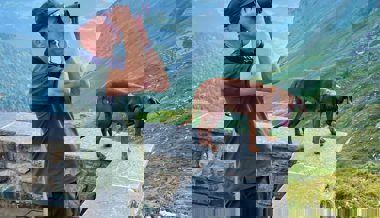 «SRF bi de Lüt – Echte Tierhelden» mit dem Toggenburger Wildhüter Urs Büchler