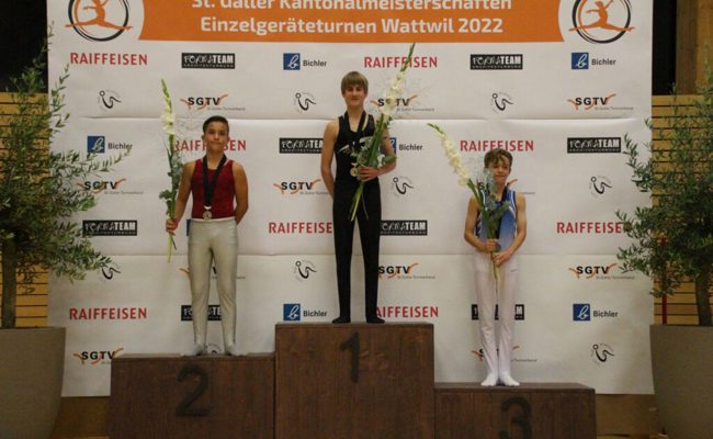 Bestform beim Saisonhöhepunkt: Kantonaler Titel für Geräteturner Dario Bieri