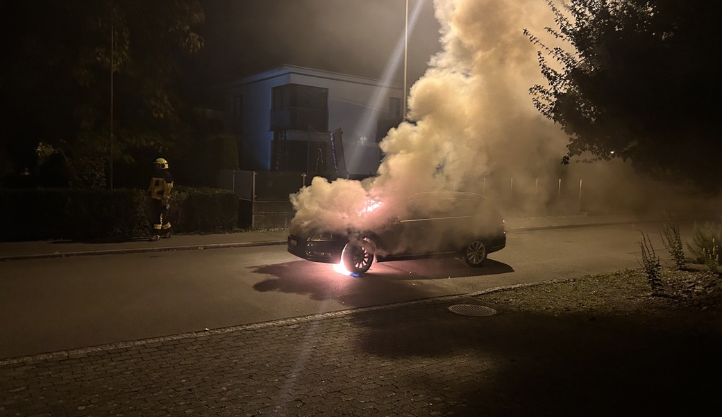 Mit einem Feuerlöscher konnte der Fahrer den Brand eindämmen, noch bevor die Feuerwehr kam.