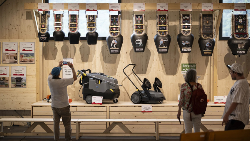 Nach wie vor besonders beliebt bei den Schwingern sind Treicheln.