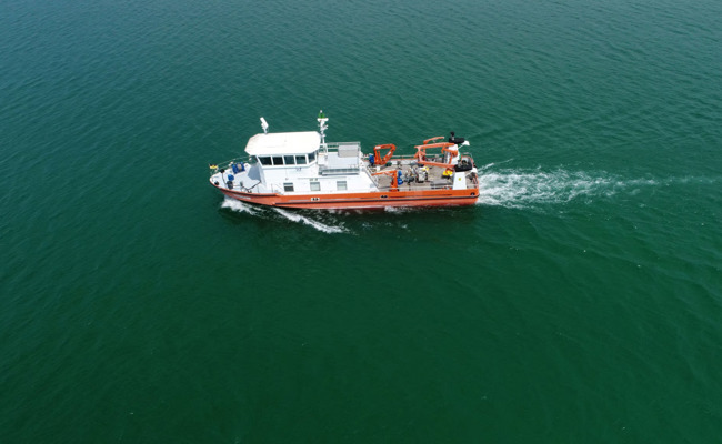 «Wie viele Jahre hält der See noch durch?»: Dem Bodensee droht die Luft auszugehen