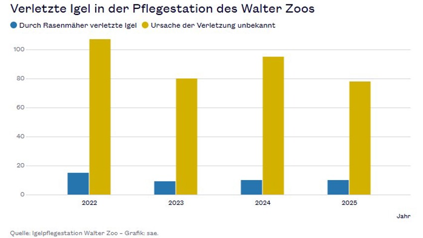 «Tiere werden gnadenlos geschreddert»: Nachtruhe wird gefordert