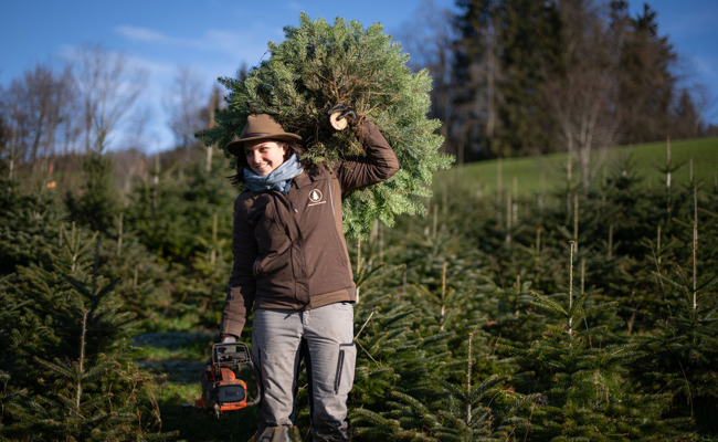 Besuch auf einer Plantage: So nachhaltig ist der regionale Christbaum