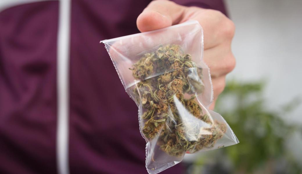 Bei einer Hausdurchsuchung fand die Polizei über 300 Gramm Cannabis.