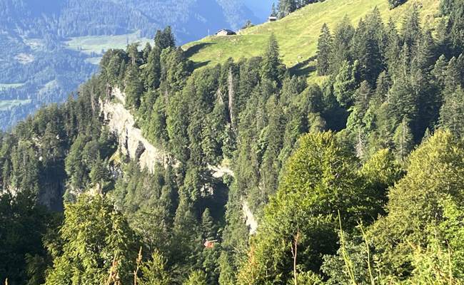 Tödlicher Unfall: 71-Jähriger mit Auto 100 Meter abgestürzt