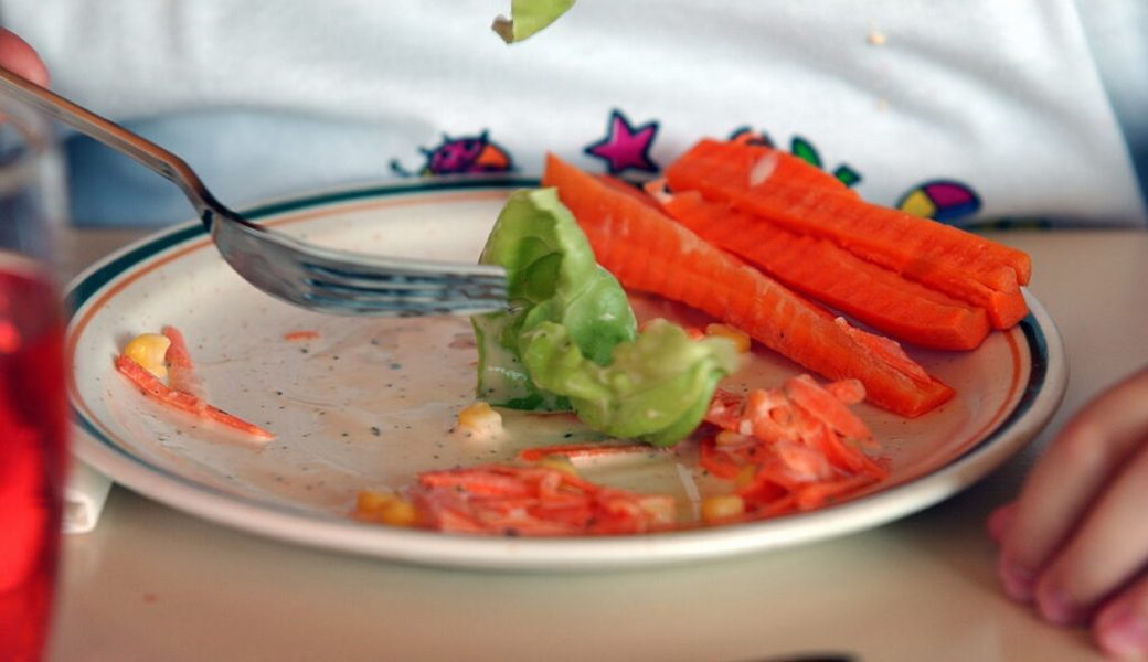  Gesunde Kost für kleine Esser: Kommt Gemüse auf den Teller, sind sich Eltern und Kinder uneins. 