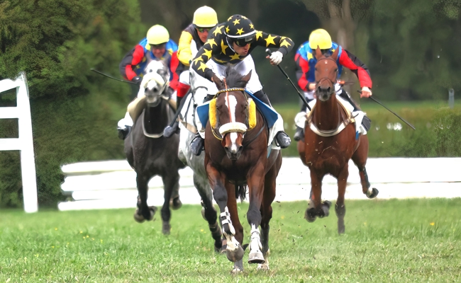 Zwei spannende Renntage auf dem Rossriet