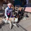 Wie Huskys den Kindern im Inklusionscamp Nähe und Selbstvertrauen schenken