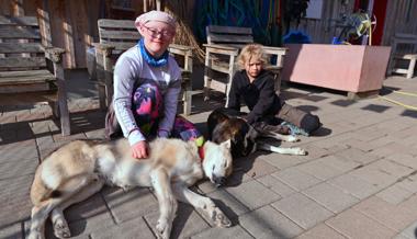 Wie Huskys den Kindern im Inklusionscamp Nähe und Selbstvertrauen schenken