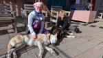Wie Huskys den Kindern im Inklusionscamp Nähe und Selbstvertrauen schenken