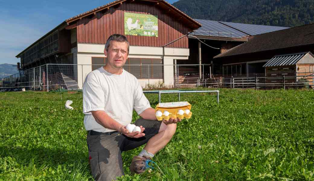 Wenn ein Landwirt auf 1900 Eiern sitzen bleibt