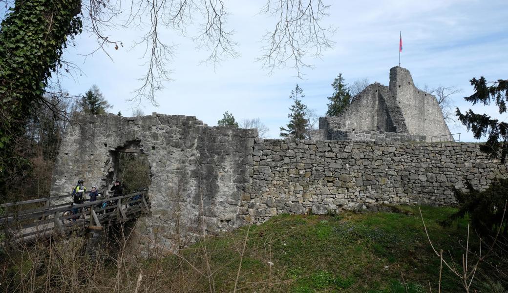 Die Obere Burg Schellenberg entstand ab 1200. Sie ist ein beliebtes Ausflugsziel.