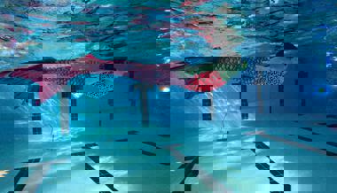 Mit Monoflosse: halb Fisch, halb Mensch