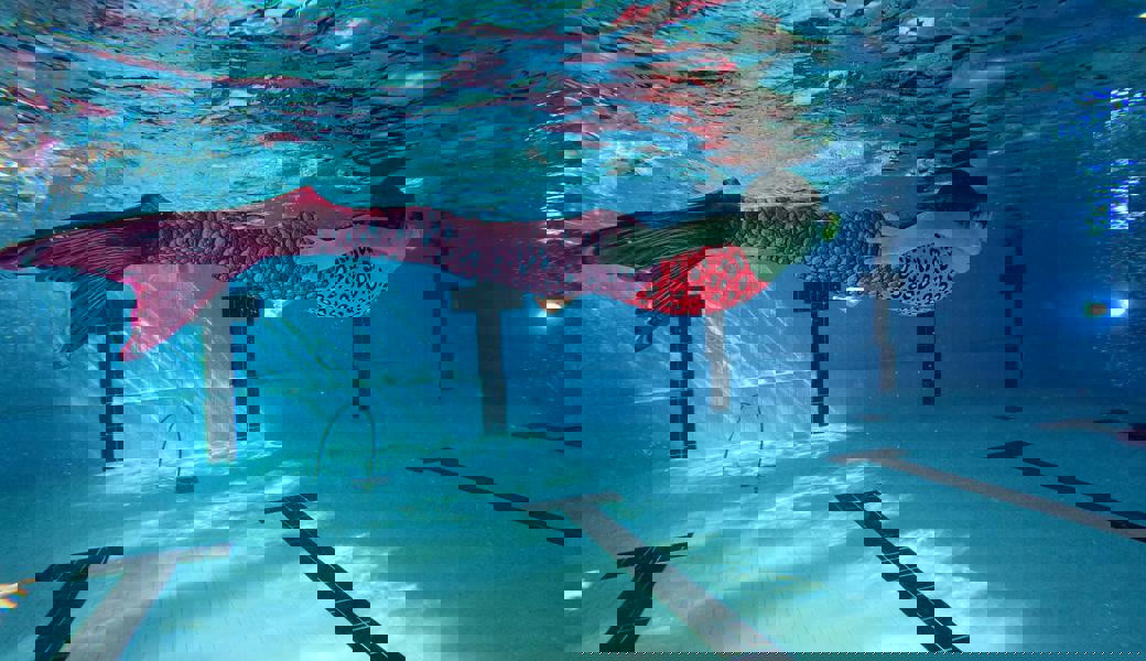 Schweben und Gleiten unter Wasser: Das kann in diesem Sommer in Balzers in einem Kurs erlernt werden.