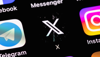 Politiker online beschimpft – bestraft