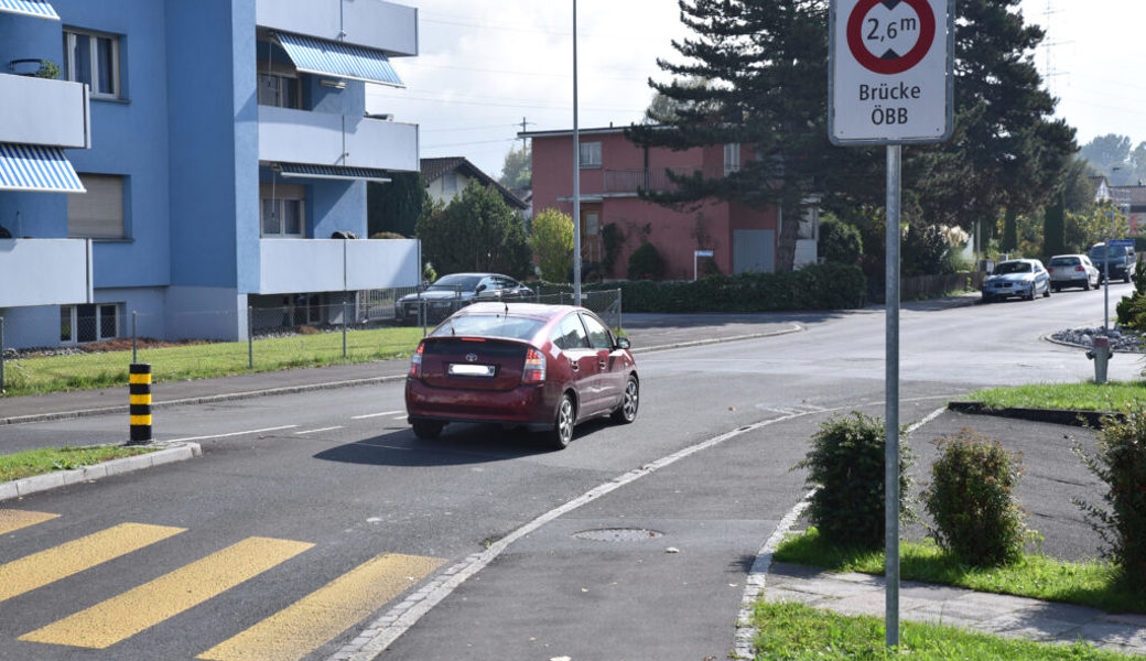  Bei der Einfahrt in die Birkenaustrasse wird ein Eingangstor für die Tempo-30-Zone erstellt. 