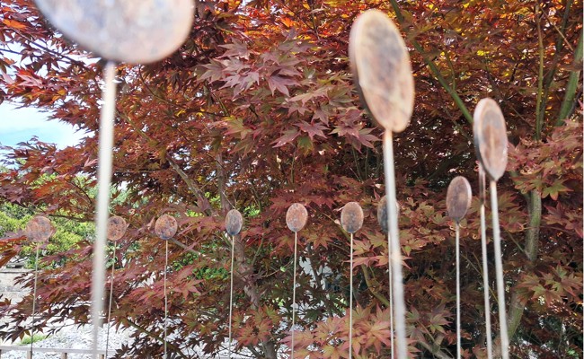 René Düsels Kunst verbindet Licht, Form und Natur