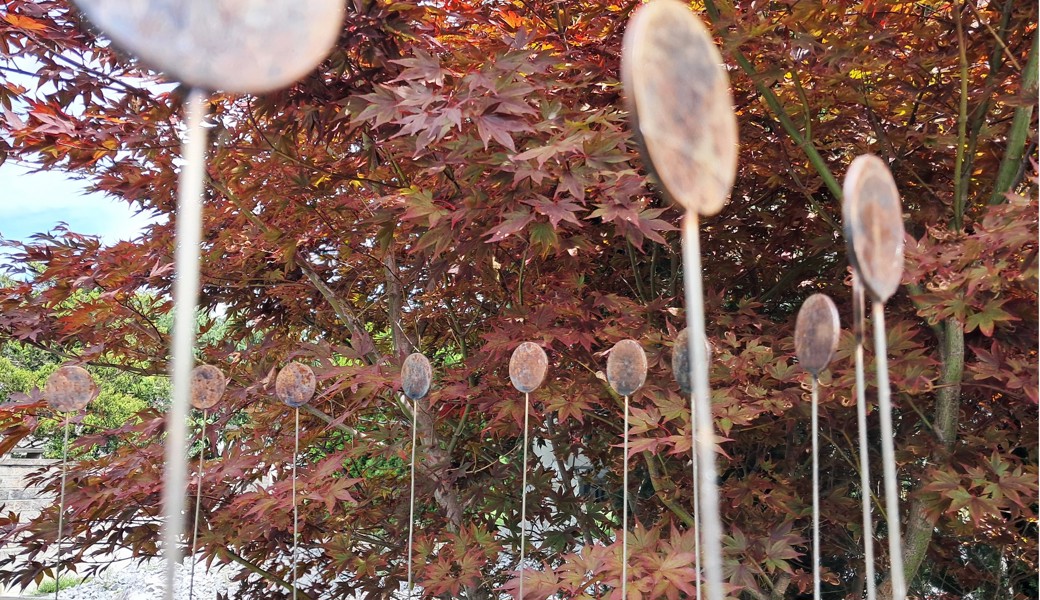 René Düsels Kunst verbindet Licht, Form und Natur