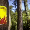 Feuerverbot in Liechtenstein verschärft