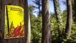 Feuerverbot in Liechtenstein verschärft