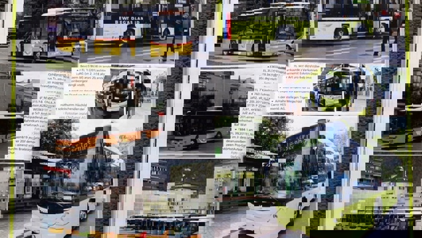  Blick ins reich bebilderte, 308 Seiten starke Buch.