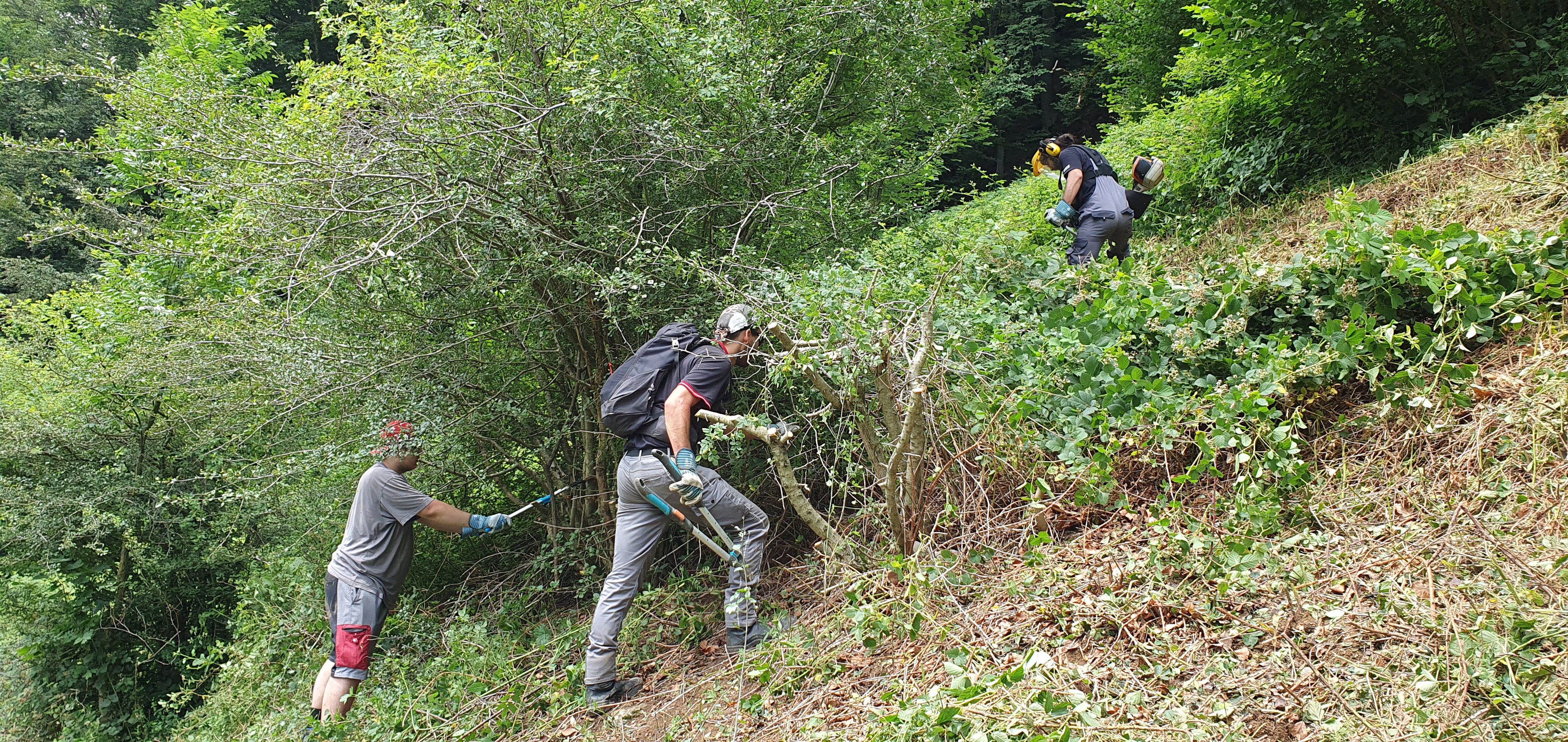 «Eine anstrengende, aber sinnvolle Arbeit»