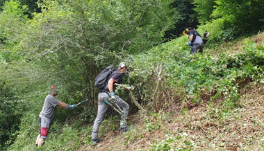 «Eine anstrengende, aber sinnvolle Arbeit»
