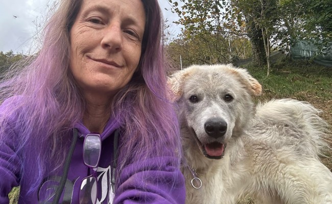 Verzweifelte Suche: «Susi’s Hundeparadies» noch immer ohne Zukunft