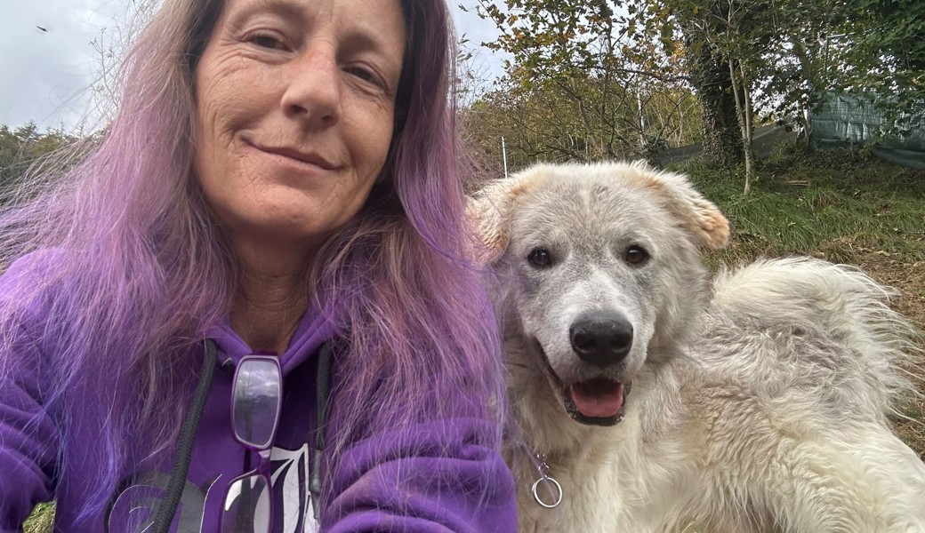 Verzweifelte Suche: «Susi’s Hundeparadies» noch immer ohne Zukunft