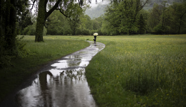 Das Wetter liess nicht alle im Regen stehen